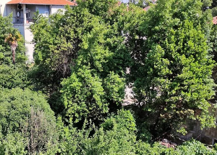 Blue Stella Luxury * Split